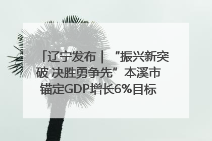 辽宁发布｜“振兴新突破 决胜勇争先”本溪市锚定GDP增长6%目标推进十项重点工作