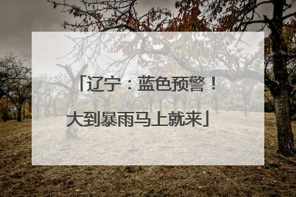 辽宁：蓝色预警！大到暴雨马上就来
