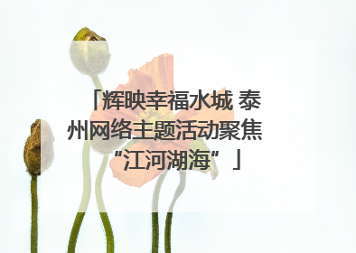 辉映幸福水城 泰州网络主题活动聚焦“江河湖海”