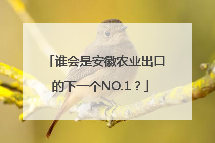 谁会是安徽农业出口的下一个NO.1？