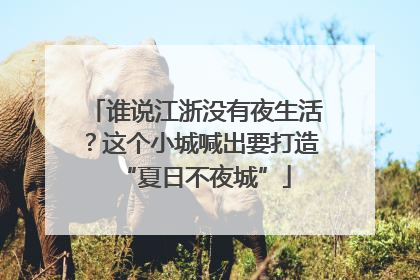 谁说江浙没有夜生活？这个小城喊出要打造“夏日不夜城”
