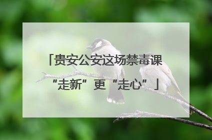 贵安公安这场禁毒课“走新”更“走心”