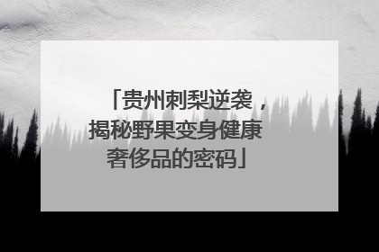 贵州刺梨逆袭，揭秘野果变身健康奢侈品的密码