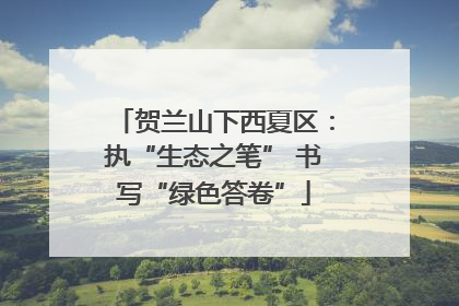 贺兰山下西夏区：执“生态之笔” 书写“绿色答卷”