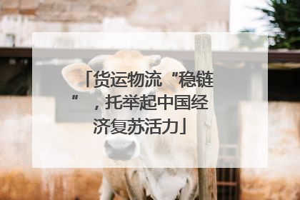 货运物流“稳链”，托举起中国经济复苏活力