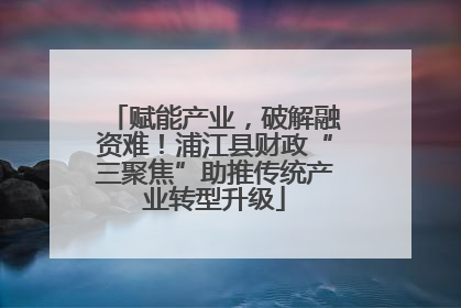 赋能产业，破解融资难！浦江县财政“三聚焦”助推传统产业转型升级