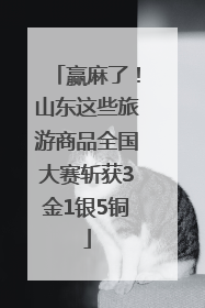 赢麻了！山东这些旅游商品全国大赛斩获3金1银5铜