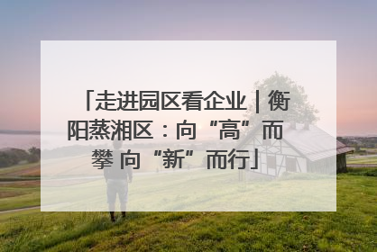 走进园区看企业｜衡阳蒸湘区：向“高”而攀 向“新”而行