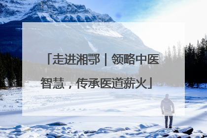 走进湘鄂｜领略中医智慧，传承医道薪火