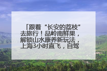 跟着“长安的荔枝”去旅行！品岭南鲜果，解锁山水康养新玩法，上海3小时直飞，自驾高速费优惠