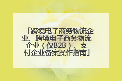 跨境电子商务物流企业、跨境电子商务物流企业（仅B2B）、支付企业备案操作指南