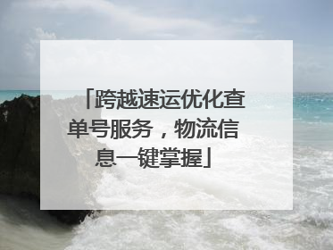 跨越速运优化查单号服务，物流信息一键掌握