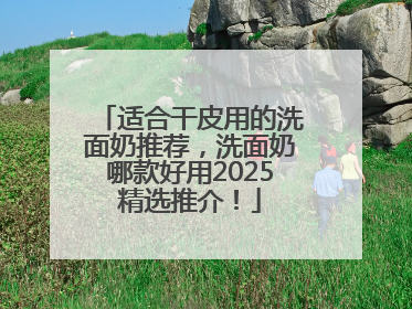 适合干皮用的洗面奶推荐，洗面奶哪款好用2025精选推介！