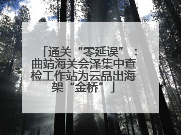 通关“零延误”：曲靖海关会泽集中查检工作站为云品出海架“金桥”