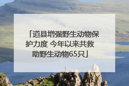 道县增强野生动物保护力度 今年以来共救助野生动物65只
