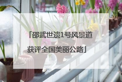 邵武世遗1号风景道获评全国美丽公路