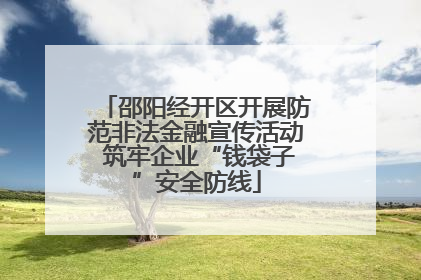 邵阳经开区开展防范非法金融宣传活动 筑牢企业“钱袋子”安全防线