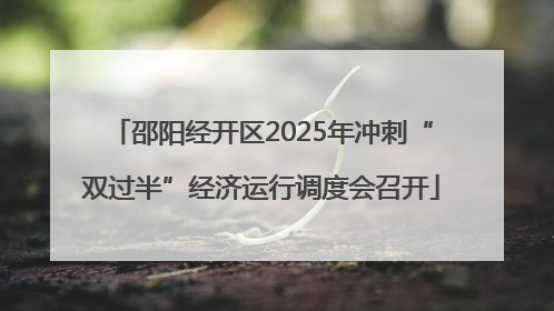 邵阳经开区2025年冲刺“双过半”经济运行调度会召开