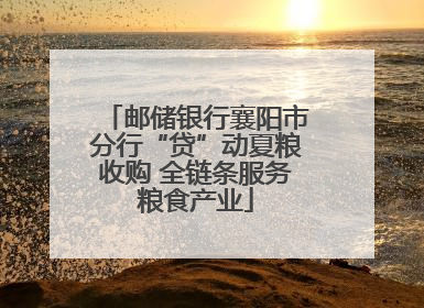 邮储银行襄阳市分行“贷”动夏粮收购 全链条服务粮食产业