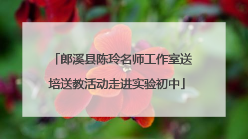 郎溪县陈玲名师工作室送培送教活动走进实验初中