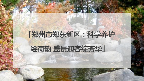 郑州市郑东新区：科学养护绘荷韵 盛景迎客绽芳华