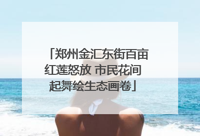郑州金汇东街百亩红莲怒放 市民花间起舞绘生态画卷