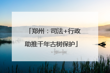 郑州：司法+行政助推千年古树保护
