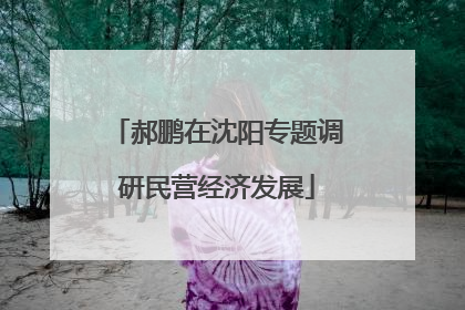 郝鹏在沈阳专题调研民营经济发展