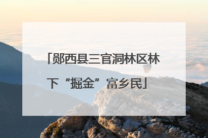 郧西县三官洞林区林下“掘金”富乡民
