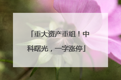 重大资产重组！中科曙光，一字涨停