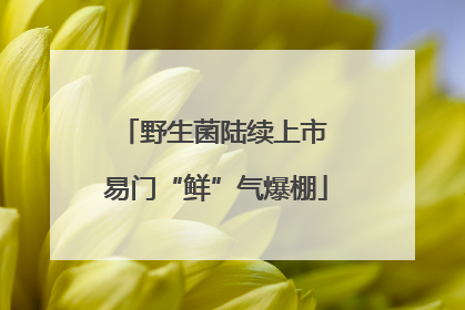 野生菌陆续上市 易门“鲜”气爆棚