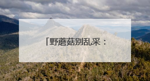 野蘑菇别乱采：西安及周边地区几乎没食用价值较大的野生菌