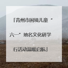 青州市困境儿童“六一”地名文化研学行活动温暖启航