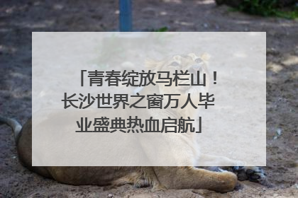 青春绽放马栏山！长沙世界之窗万人毕业盛典热血启航