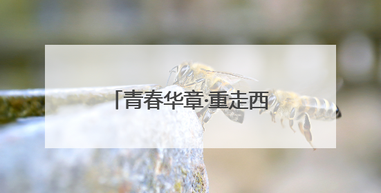 青春华章·重走西北角：见证兰州科研的坚守与突破之路