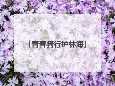 青春骑行护林海