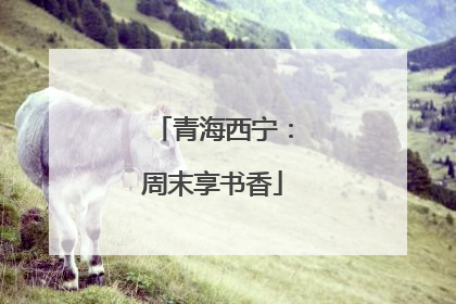 青海西宁：周末享书香