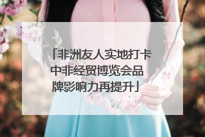 非洲友人实地打卡 中非经贸博览会品牌影响力再提升