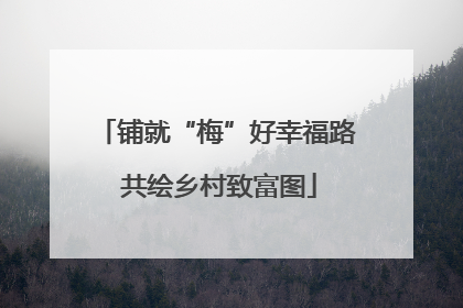 铺就“梅”好幸福路 共绘乡村致富图