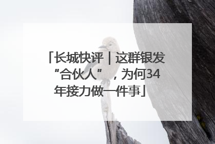 长城快评｜这群银发“合伙人”，为何34年接力做一件事
