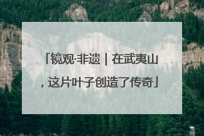 镜观·非遗｜在武夷山，这片叶子创造了传奇