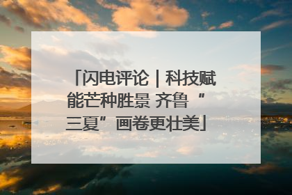 闪电评论｜科技赋能芒种胜景 齐鲁“三夏”画卷更壮美