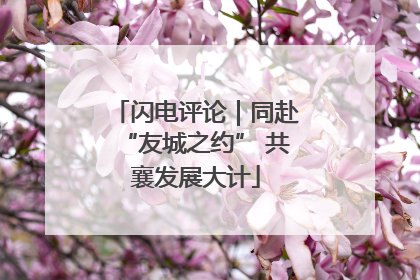 闪电评论｜同赴“友城之约” 共襄发展大计
