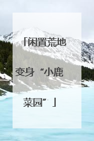 闲置荒地变身“小鹿菜园”
