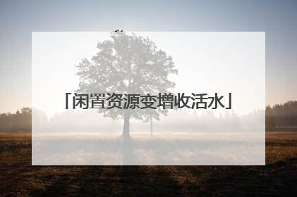 闲置资源变增收活水