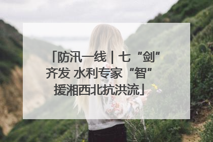 防汛一线｜七“剑”齐发 水利专家“智”援湘西北抗洪流