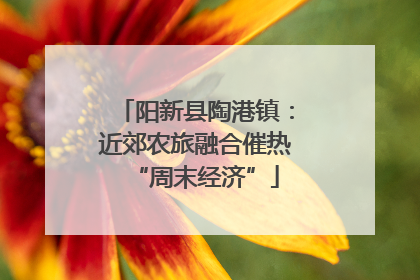 阳新县陶港镇：近郊农旅融合催热“周末经济”