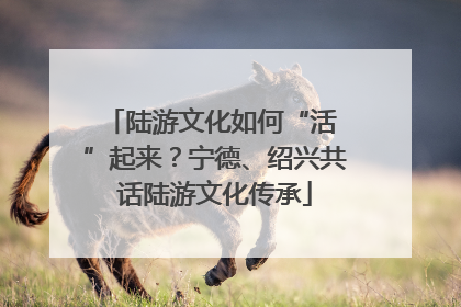 陆游文化如何“活 ”起来？宁德、绍兴共话陆游文化传承