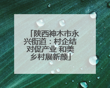 陕西神木市永兴街道：村企结对促产业 和美乡村展新颜