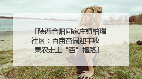 陕西合阳同家庄镇柏瑞社区：百亩杏园迎丰收 果农走上“杏”福路